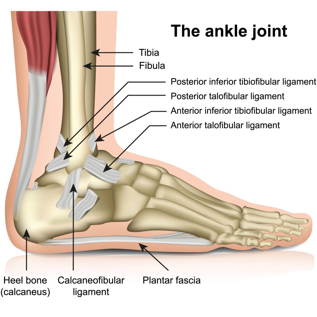 Baltimore ankle surgery lawyer