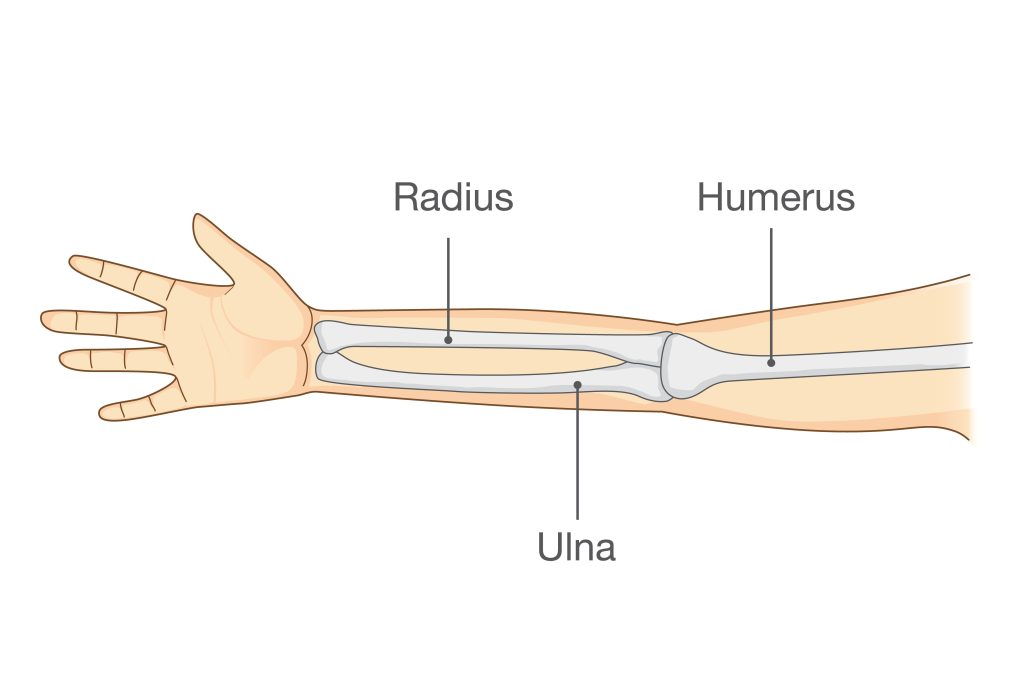 Baltimore Ulna Fracture Lawyer